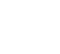 Sports Therapy Association